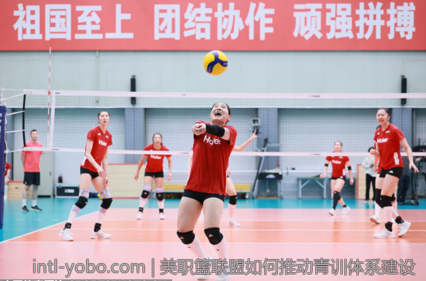 美职篮联盟如何推动青训体系建设