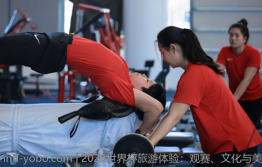 2026世界杯旅游体验：观赛、文化与美食一站式指南