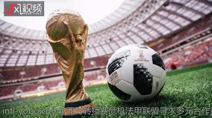 面对转播费危机法甲联盟寻求多元合作策略